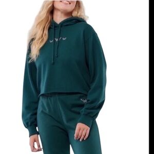 Hollister cropped hoodie Small butterflies Y2K green retro pullover‎ 90's style